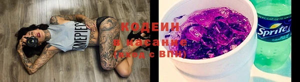 прущие грибы Армянск