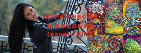 прущие грибы Армянск