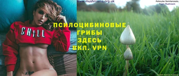прущие крисы Арсеньев