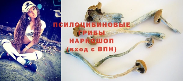 прущие грибы Армянск
